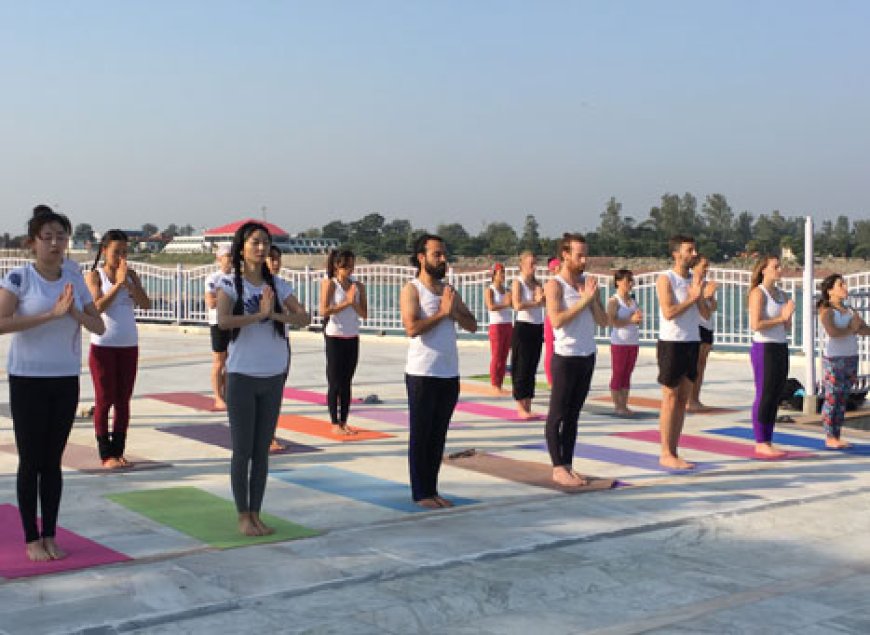 Tattvaa Yogashala is a renowned yoga school