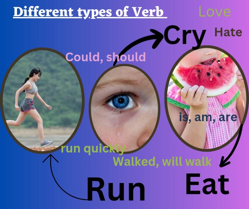 Verb  Types Of verb  Modified form of verb  Use of verb