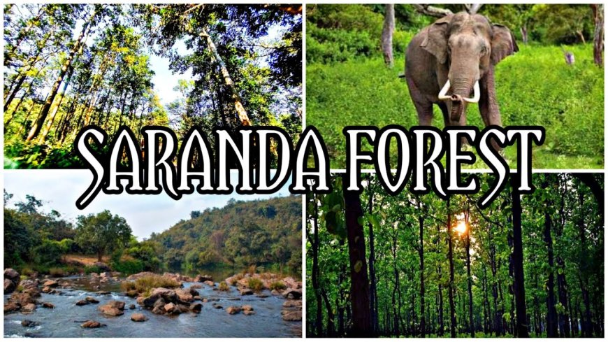 Saranda Forest Jharkhand- The Land of Seven Hundreds Hills