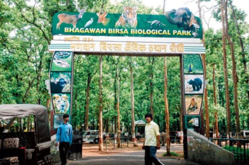 Bhagawan Birsa Biological Park, Ranchi